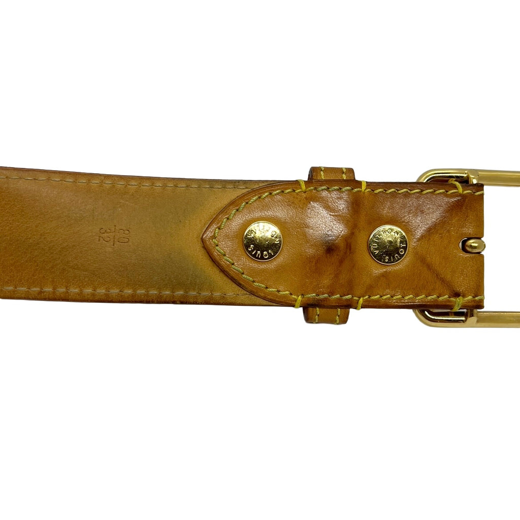 Louis Vuitton Watercolor Belt