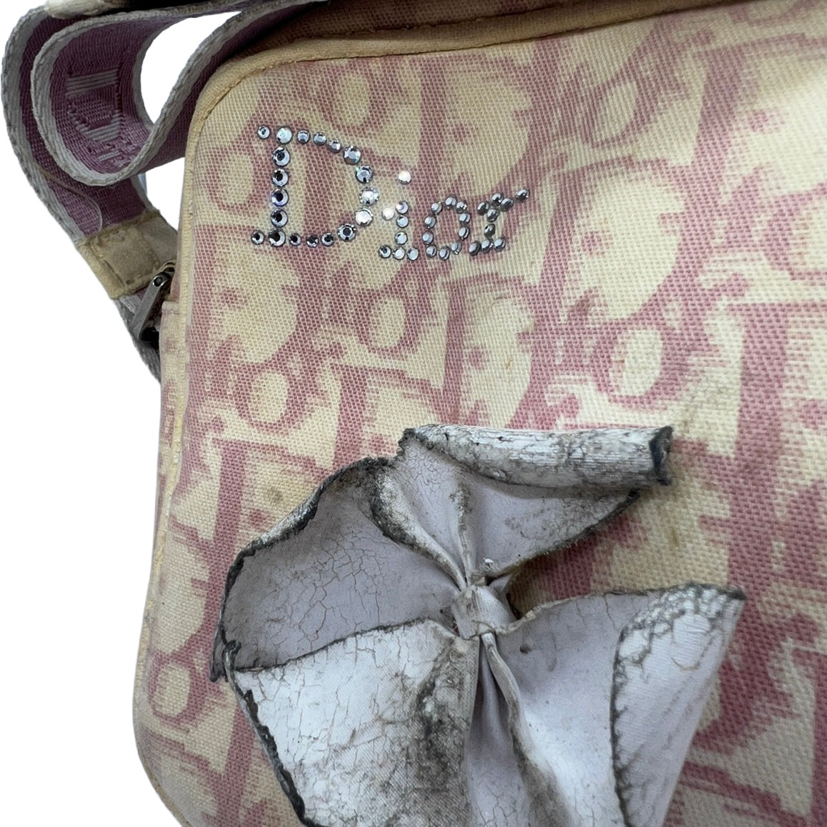 Dior Pink Monogram Bag